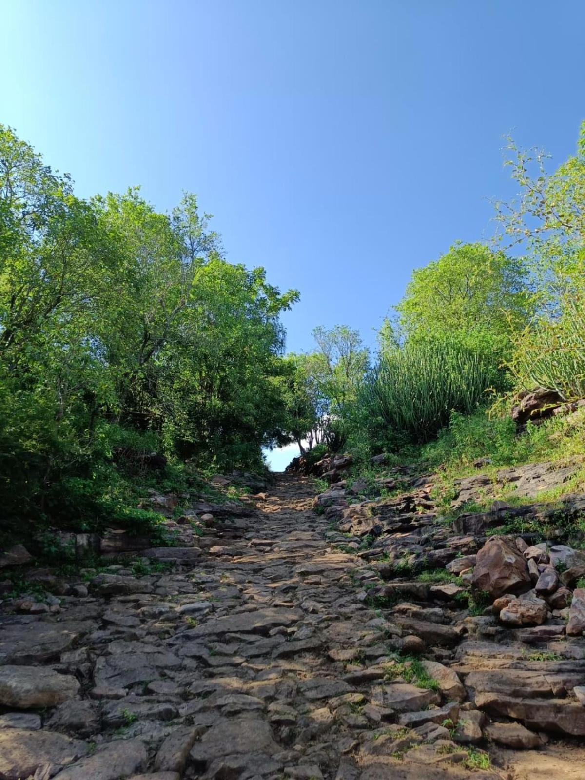 Gandhisagar Forest Retreat 호텔 Gurla 외부 사진